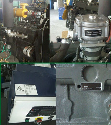 Water Cooling Silent Open Diesel Generator sets 35kW or Biogas / Gas / Natural Gas Transistor Magneto Start