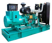 Electronic Brushless Genset Container 10kw - 800kw With 6 Cylindersin Line