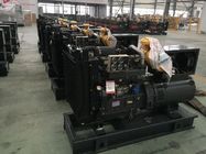 Low Noisy 20kw Cummins Diesel Generator Set for Power Station with Automatic Transfer Switch